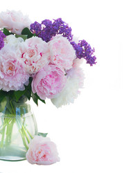 Similar image 20298596