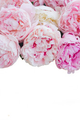 Similar image 20298615