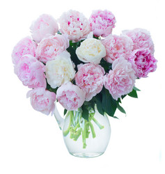 Similar image 20298663