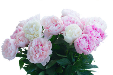 Similar image 20298679