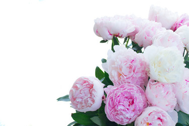 Similar image 20298681