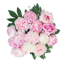 Similar image 20298720