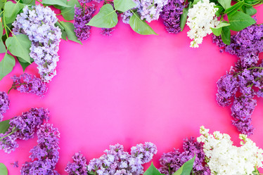 Similar image 20298913