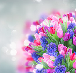 Similar image 20299028