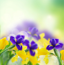 Similar image 20299029