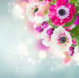 Similar image 20299205