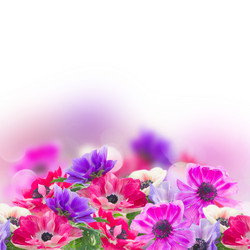 Similar image 20299206