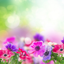 Similar image 20299436