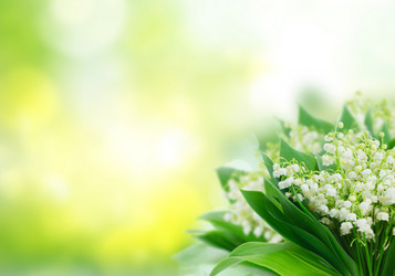 Similar image 20299441