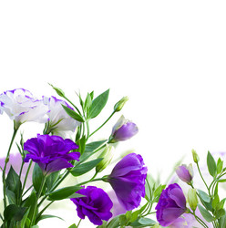 Similar image 20299443