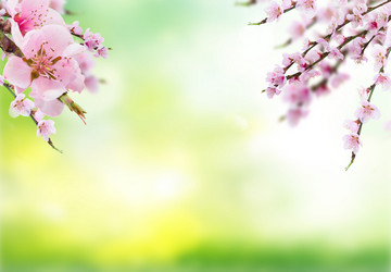 Similar image 20299442