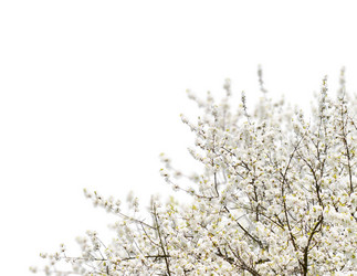 Similar image 20299444