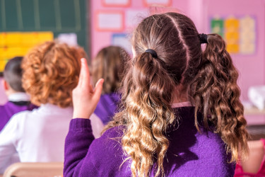 Similar image 20266896