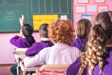 Similar image 20266904