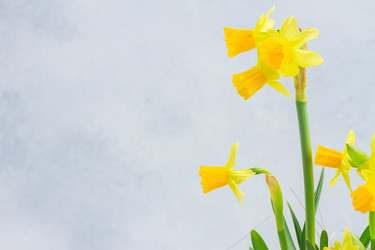 Similar image 20298642