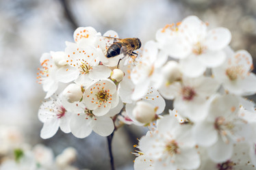 Similar image 20268389