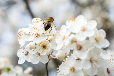 Similar image 20268393