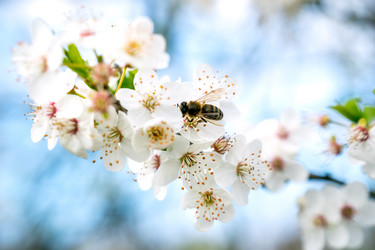 Similar image 20268398