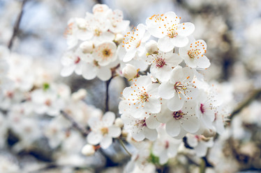 Similar image 20268437