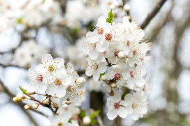 Similar image 20268442