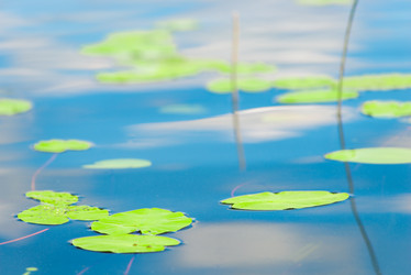 Similar image 20266130