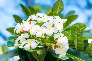 Similar image 20266264