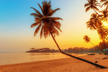 Similar image 20266071