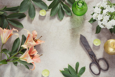 Similar image 20228724