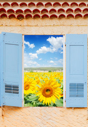 Similar image 20298321