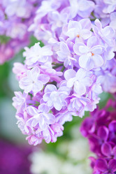 Similar image 20299223