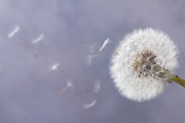 Similar image 20299296