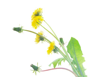 Similar image 20299323