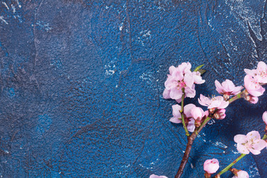 Similar image 20299373