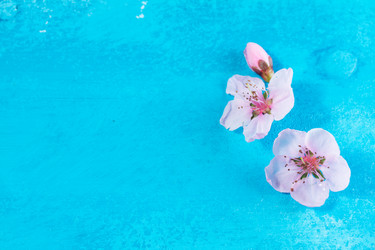 Similar image 20299445