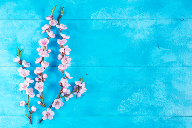 Similar image 20299447