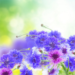 Similar image 20299448