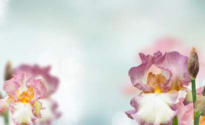 Similar image 20298859