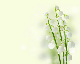 Similar image 20298925