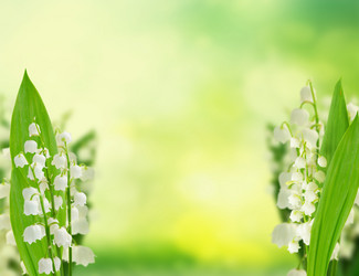 Similar image 20298946