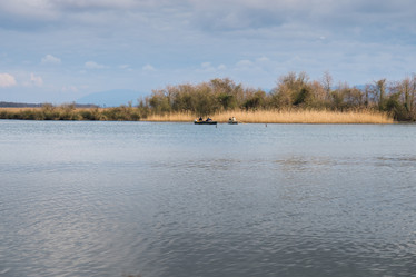 Similar image 20268792