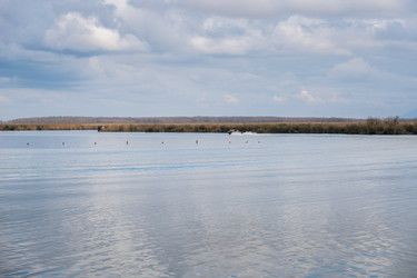 Similar image 20268934