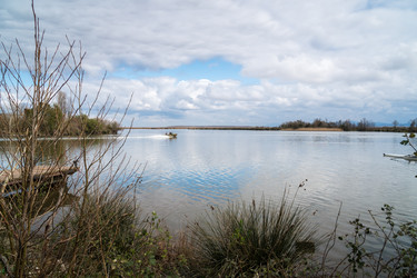 Similar image 20268936