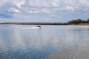 Similar image 20268939