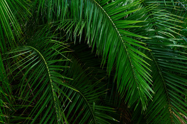 Similar image 20299302