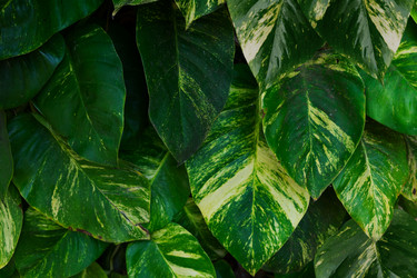 Similar image 20299276