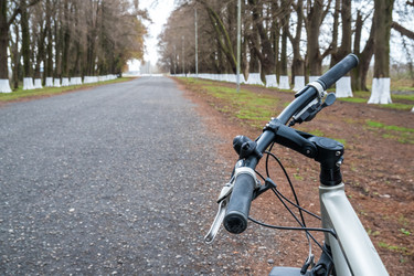 Similar image 20269695