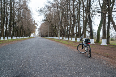 Similar image 20269705