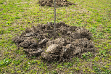 Similar image 20267003