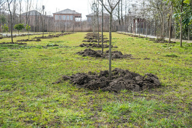 Similar image 20267006