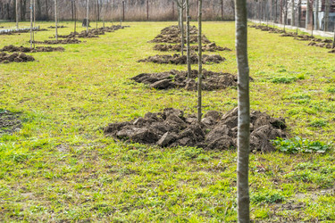 Similar image 20267007